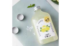 China Customized 350ml 380ml 14oz PET Round Bottle Empty Beverage Container With Lid supplier