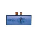 LA123WF4-SR03 for LG Display 1920*720 12.3 inch TFT LCD Module for sale