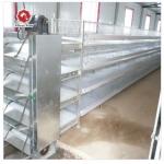 Poultry Farm cages for broiler chicken Breeding / Meat Broiler for sale