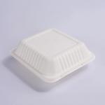 2 Compartments Sugarcane Clamshell Box Disposable Sugar Cane Take Out Containers