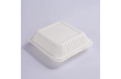 China 2 Compartments Sugarcane Clamshell Box Disposable Sugar Cane Take Out Containers supplier