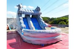 China Water Park Plato Commercial Inflatable Slide With Pool supplier