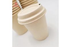 China 100% Compostable Disposable Paper Containers supplier