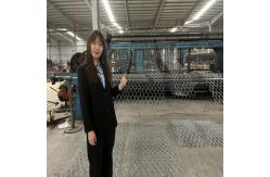 China 3.7mm Galvanised Gabion Baskets Standard Size 8*10 Cm Mesh supplier