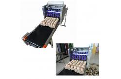 China Automatic Egg Printing Machine For Date , Time , Serial Number supplier