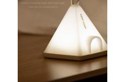 China Portable Handheld Atmosphere Battery Operated Night Light For Camping Illumination supplier