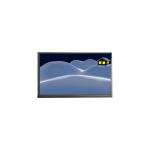 10.1 inch F101A11-6T4 1200*1920 LCD display panel for sale