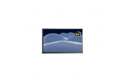 China 10.1 inch F101A11-6T4 1200*1920 LCD display panel supplier