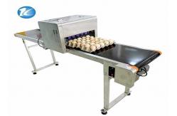 China Characters / Expiry Date Code Printing Machine / Egg Stamping Equipment supplier