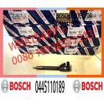 Diesel Engine Parts Common Rail Diesel Injector 0445110189 0445110190 0445110181 For Dodge Mercedes E320 S320 for sale