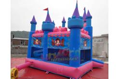 China Park Inflatable Bouncer Slide / Princess Inflatable Bounce House With Slide Moonwalk supplier