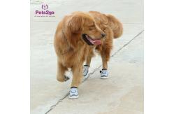 China Breathable Mesh 23.5x7.2cm 500g Dog Running Shoes supplier