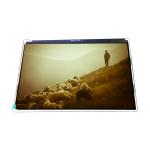 VVX09F035M10 8.9 inch 800 : 1 LCD Screen Display Panel for sale