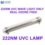 Disinfection 222nm UVC Light Sterilizer Prevent School Cross Infection for sale