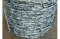 China 18 Gauge 4 Point 2 Strand Galvanized Barbed Wire Coils 20kg Coil supplier