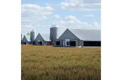China Customized Steel Structure Chicken House Industrial Weather Resistant supplier