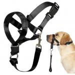 Dog over the nose dog lead Head Collar Halter with Safety Strap for sale