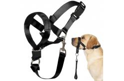 China Dog over the nose dog lead Head Collar Halter with Safety Strap supplier