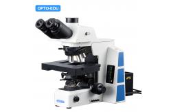 China Opto Edu M12.5850 Biological Motorized Microscope Bf Xyz supplier