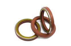 China TCN Skeleton Oil Seal  NBR Nitrile Rubber  AP Oil Seal  With Spring supplier