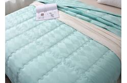 China 200x230cm Thermobonded Fiber Bsci Quilted Quilt supplier