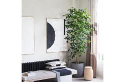 China Flame Retardant H180cm Artificial Ficus Plant , Ficus Fake Tree Natural Look supplier