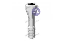 China Arum Titanium Angled Screw No.10 (DS013) Compatible with Dentsply Ankylos supplier