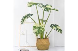 China 80cm Artificial Monstera Potted Plant No Nursing Low Maintenance supplier
