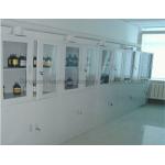 Removable Lab Chemical Storage Cabinets Galvanized Steel Body Adjustable Anchor for sale