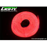 576LM DC36V Flexible underground LED Strip Light SMD5050 Explosive Proof