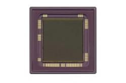 China CYIL1SM4000AA-GDC supplier