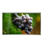 M195FGE-L23 19.0 inch lcd panel matte 1600×900 original new quality for sale