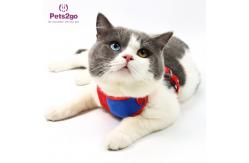 China Pets2Go Mesh Lining 100g Retractable Pet Leash supplier
