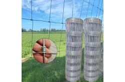 China 2.0mm Wire Galvanised Steel Wire Mesh Cattle Fence Roll Farm Fencing supplier