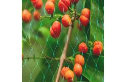 China Orchard Anti Bird Mesh Netting For Blueberry And Grape Protection supplier