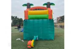 China PVC Jungle Party 1000D Durable Inflatable Pool Slide supplier