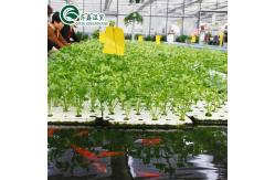 China Single Layer Tower Garden for Aduaponics Affordable Agricultural Greenhouse supplier