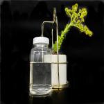 Solvent Resistance Bisphenol A Epoxy Acrylate Resin Diluted For Offset Inks for sale