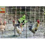 High Strength Plastic Poultry Netting,  Chicken Fence, 1.5M High,  Gray Color, 20MM Hole Size for sale