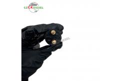 China Common Rail Injector 0445120063 0445120340 for 120 Series Injector supplier