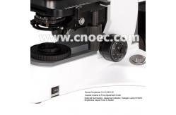 China Infinity Trinocular  BF / DF DIC Metallurgical Optical Microscope Halogen Light A13.1013 supplier