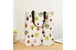 China Mini Waxed Coated Canvas Tote supplier