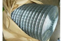 China 1/2 Inch PVC Plastic Coated Galvanised Mesh Zinc Coated Wall Plastering supplier