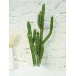 Nordic Cactus Artificial Green Plant Bedroom Floor Potted Fire Retardant for sale