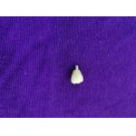Single Tooth Trushine OSSETEM Dental Implants Fixture Level for sale