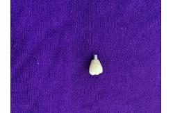 China Single Tooth Trushine OSSETEM Dental Implants Fixture Level supplier