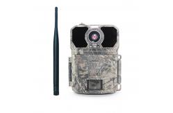 China 4G LTE SMS Cellular Game Camera No Glow PIR GPS  Wireless supplier