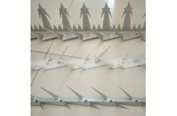 China Iron Wire Home Security Fence Spikes For Walls Anti Climb supplier