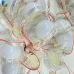 Round 50mm Flat Led Pixel UCS1903 1.68w SMD 5054 RGB Led Point Light Entertaining Diversions With milky white PC outer cover for sale