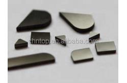 China High Oxidation Resistance Customized PCBN DISC for Customized Machining Applications supplier